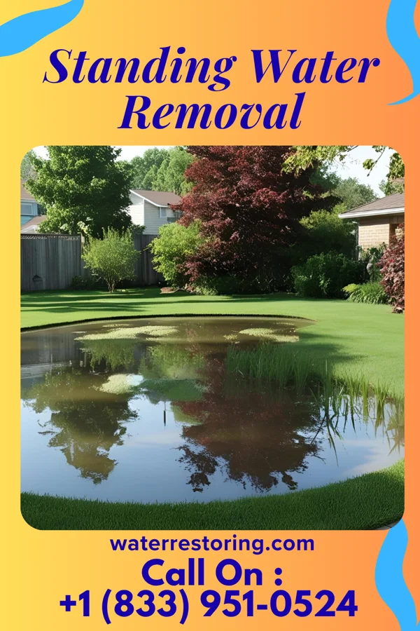 Standing Water Removal in Spooner, WI